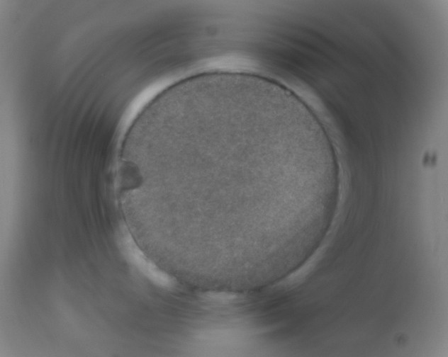 X0000113181248200910161324