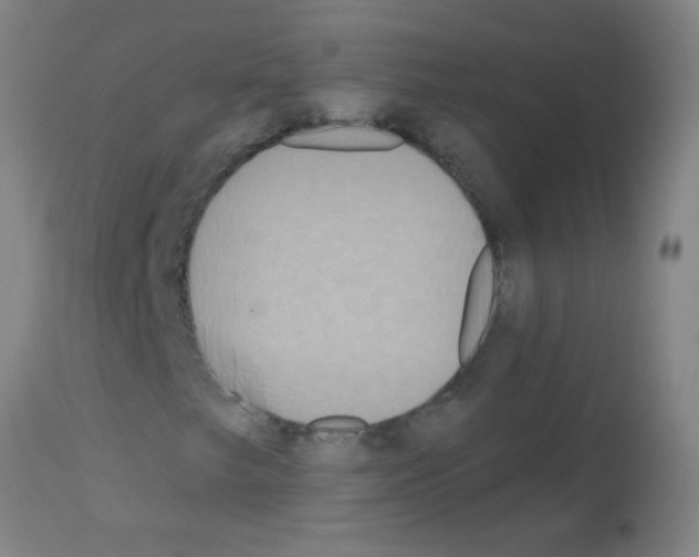 X0000113181249200910161323
