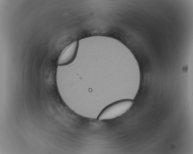 X0000113181250200910161323