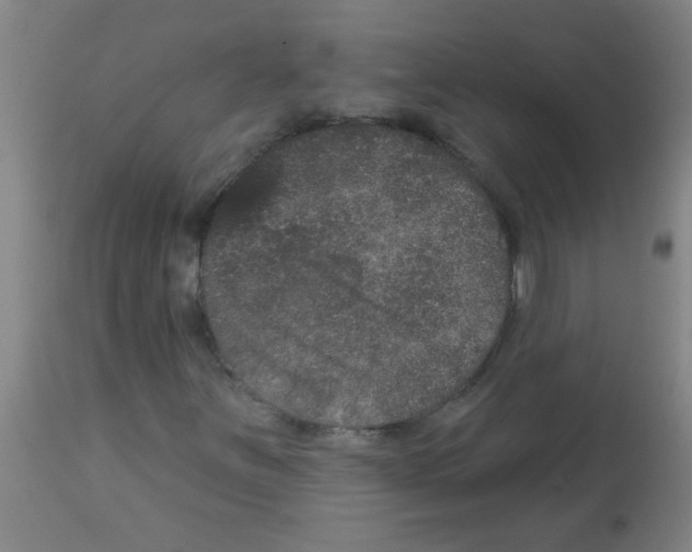 X0000113181251200910161323