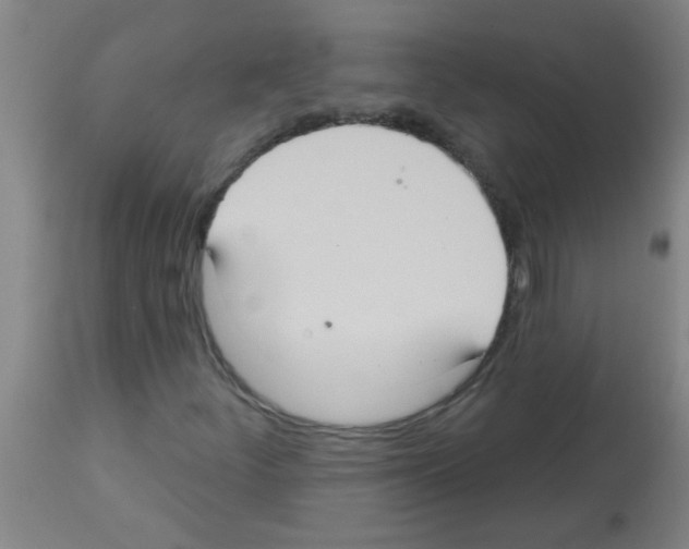 X0000113181252200910161323