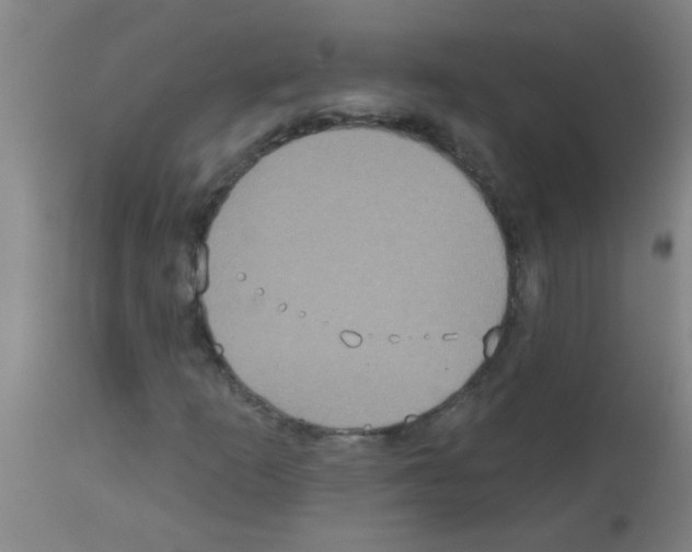 X0000113181253200910161323