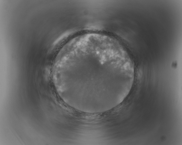 X0000113181254200910161323