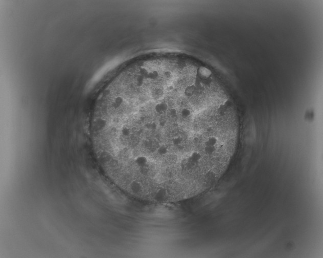 X0000113181255200910161323