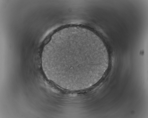 X0000113181256200910161323