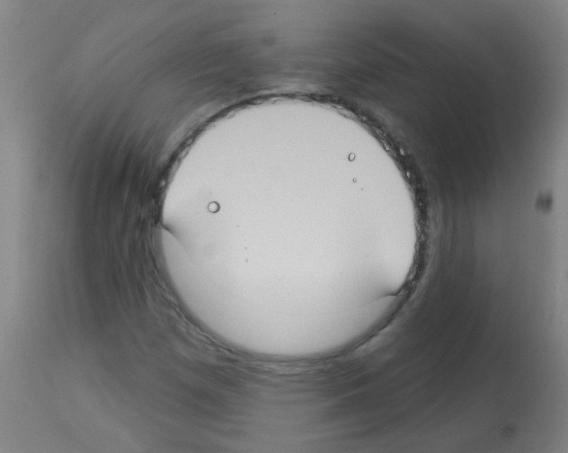 X0000113181257200910161323
