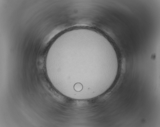 X0000113181258200910161323