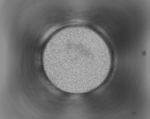 X0000113181259200910161323