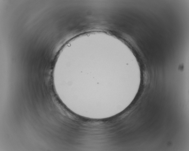 X0000113181260200910161323