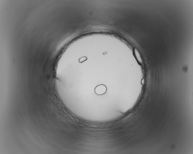 X0000113181261200910161323