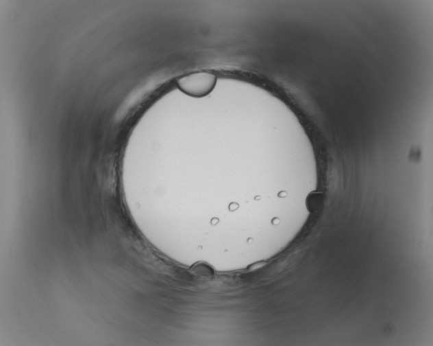 X0000113181262200910161323