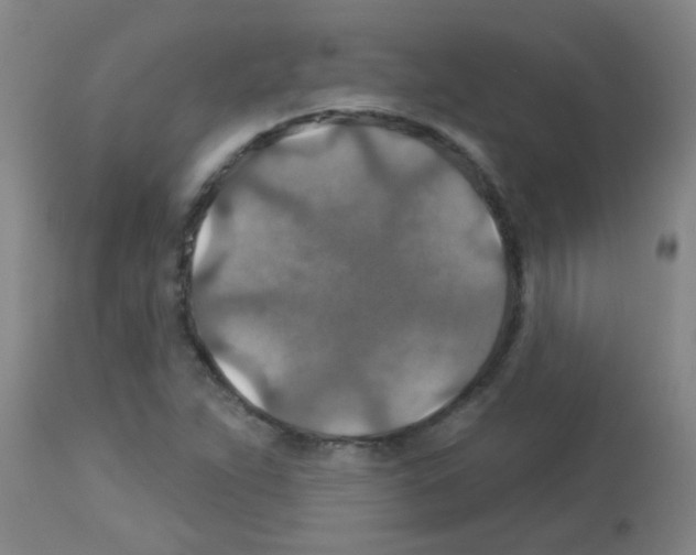 X0000113181263200910161323