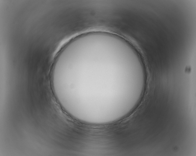 X0000113181264200910161323