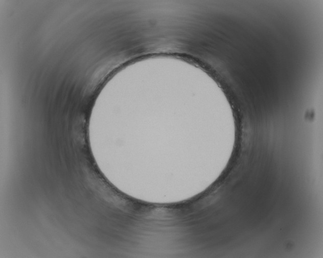 X0000113181265200910161323
