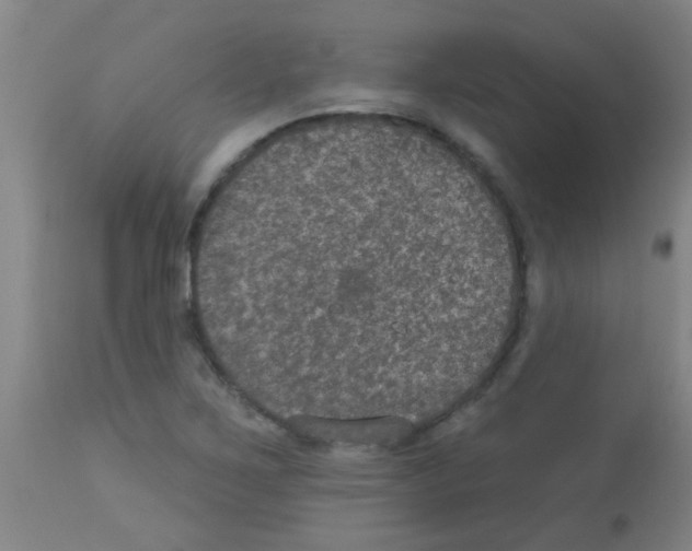 X0000113181267200910161323