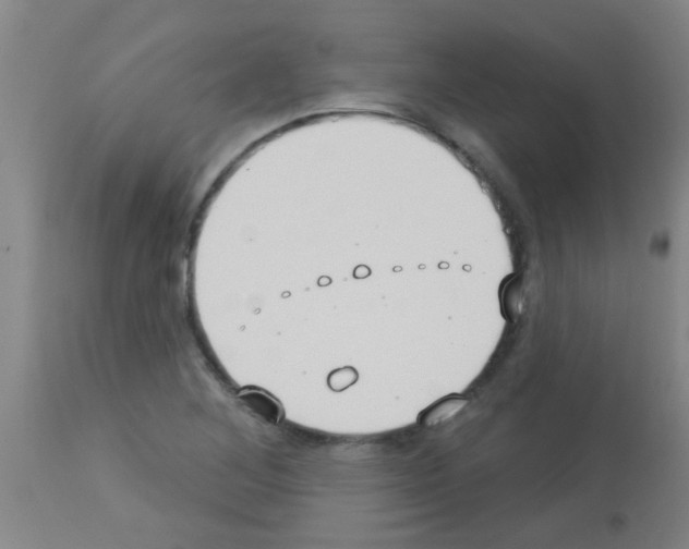 X0000113181268200910161323