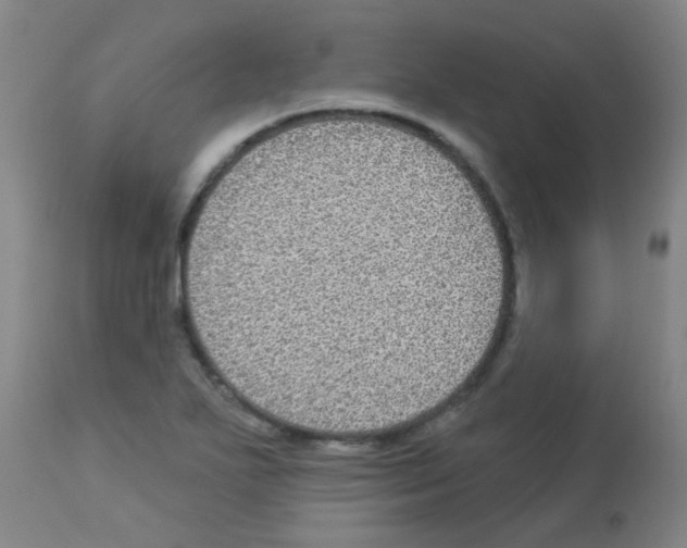 X0000113181271200910161323