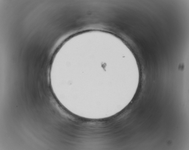 X0000113181272200910161323