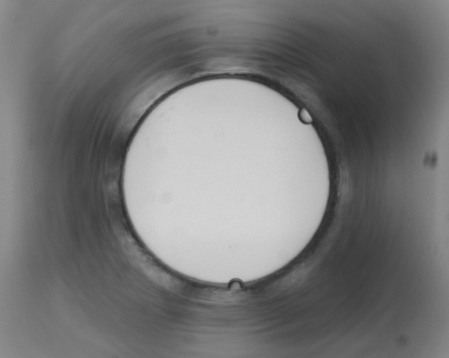 X0000113181273200910161323