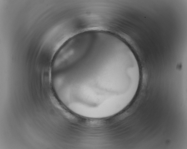 X0000113181274200910161323