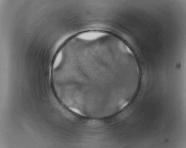 X0000113181275200910161323