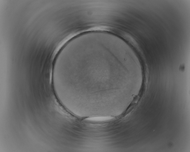 X0000113181276200910161323