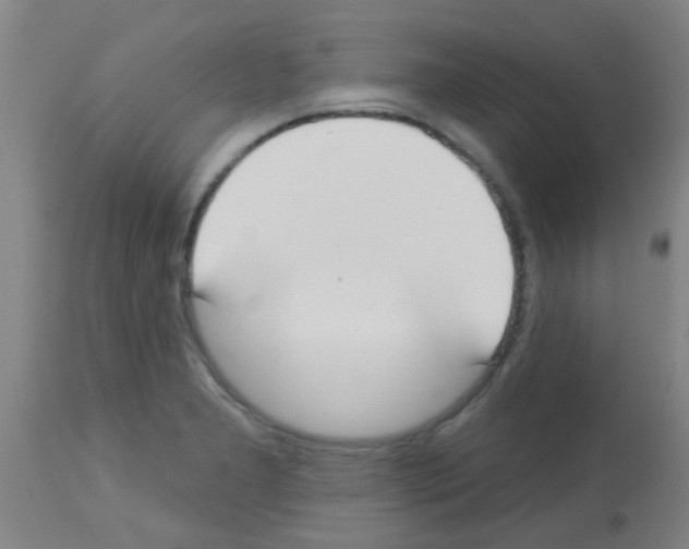 X0000113181277200910161323