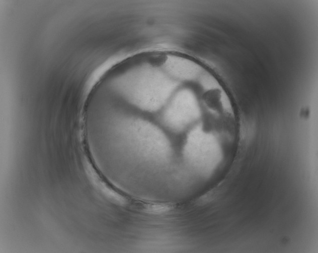 X0000113181278200910161323