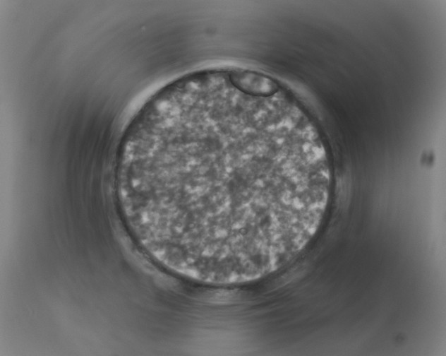 X0000113181279200910161323