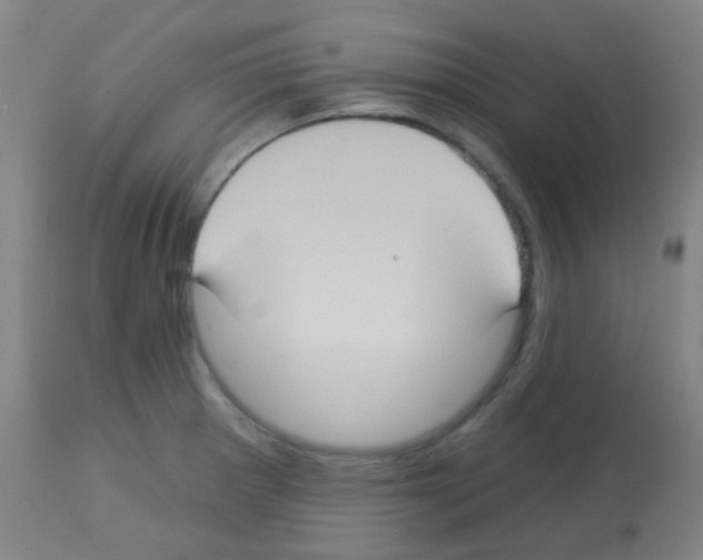 X0000113181281200910161323