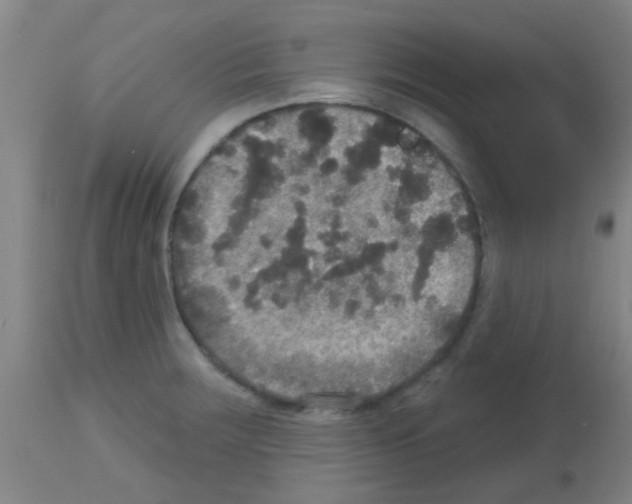 X0000113181283200910161323