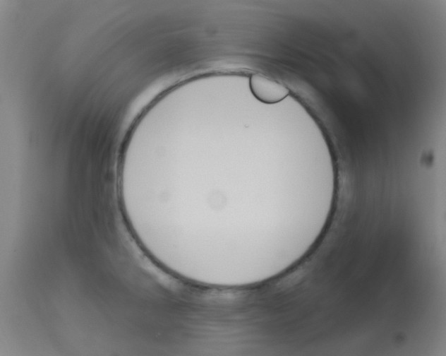 X0000113181286200910161323