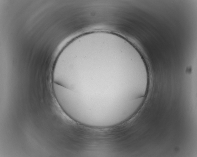 X0000113181288200910161323