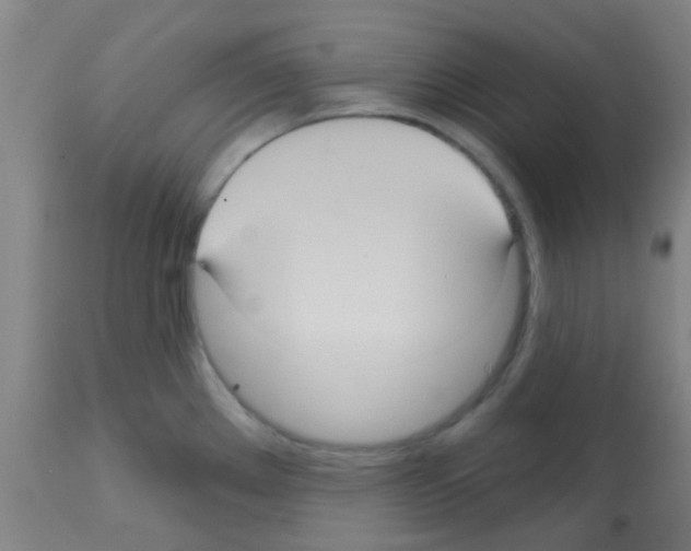 X0000113181289200910161323