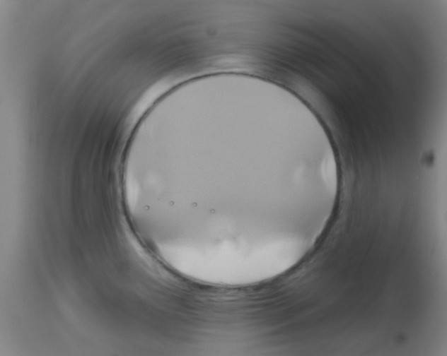 X0000113181291200910161322