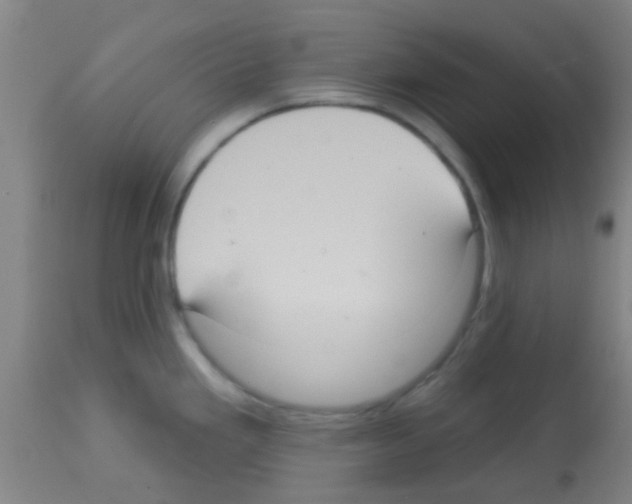 X0000113181293200910161322