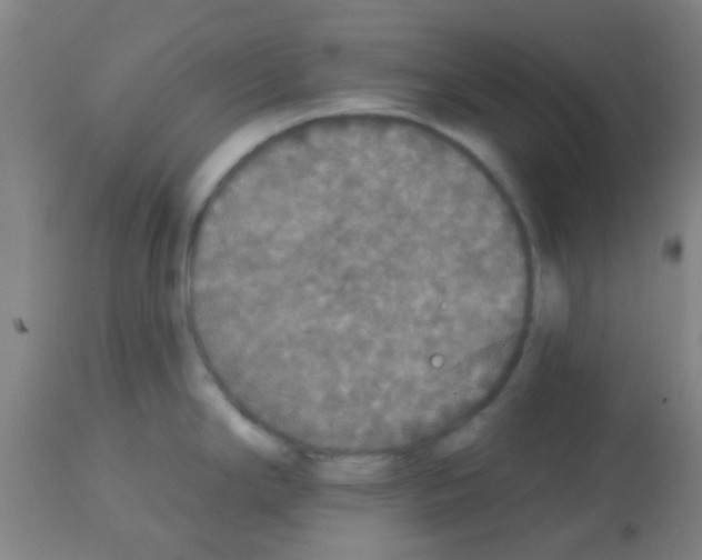 X0000113181294200910161322