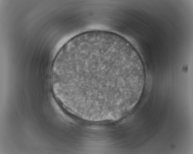 X0000113181295200910161322