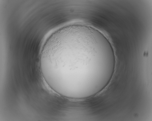 X0000113181296200910161322