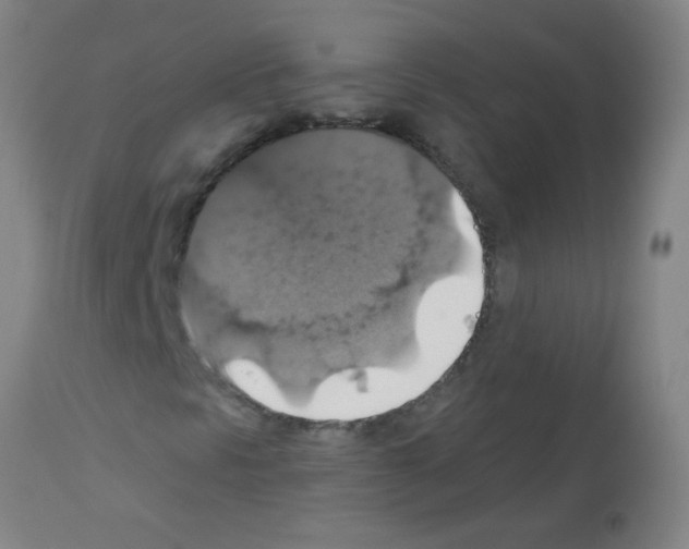 X0000113181297200910161322