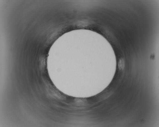 X0000113181299200910161322