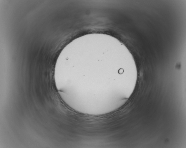 X0000113181300200910161322