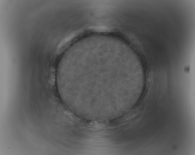 X0000113181301200910161322