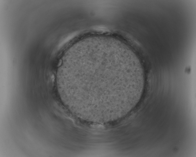 X0000113181302200910161322