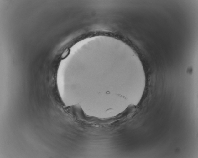 X0000113181303200910161322