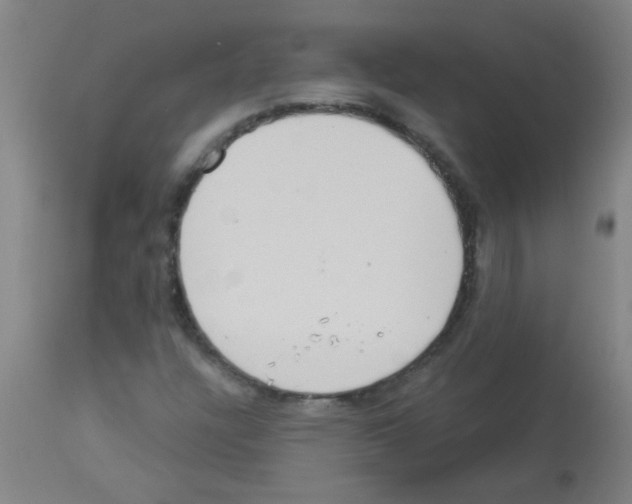 X0000113181304200910161322