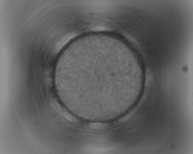 X0000113181305200910161322