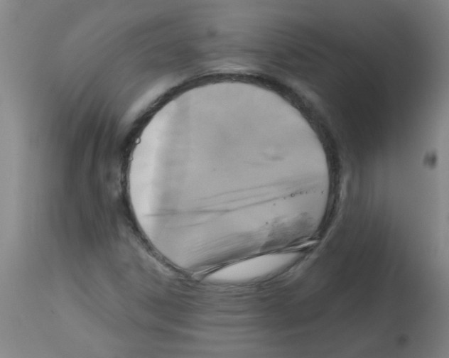 X0000113181306200910161322