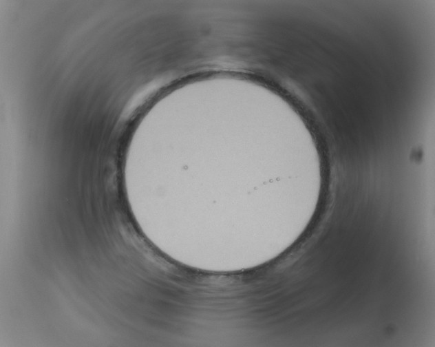 X0000113181307200910161322