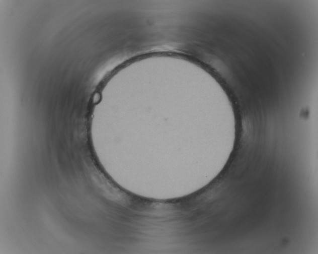 X0000113181308200910161322